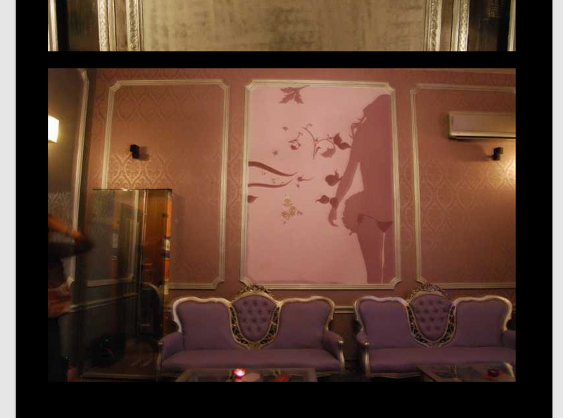 Picturi decorative interior/exterior si ornamente sculpturale